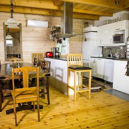 Pine House, Saimaa 别墅